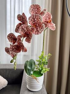 Orhidee Silicon ALB - ROZ LUX
