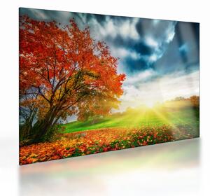 Tablou pe sticlă peisaj cu scufundat în razele solare (70x50 cm)
