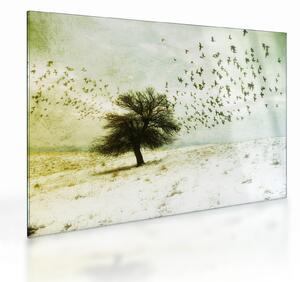 Tablou pe sticlă - cu multe păsări pictate (70x50 cm)