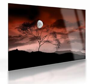Tablou pe sticlă - Luna luminează noaptea (70x50 cm)