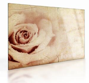 Tablou pe sticlă - floare de trandafir pentru îndrăgostiți (70x50 cm)
