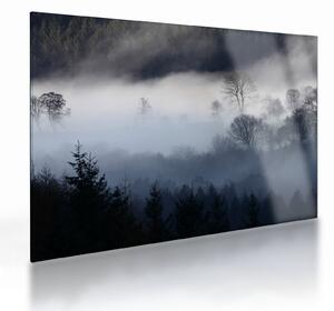 Tablou pe sticlă cu ceță deasupra pădurii (70x50 cm)