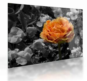 Tablou pe sticlă cu floare (70x50 cm)