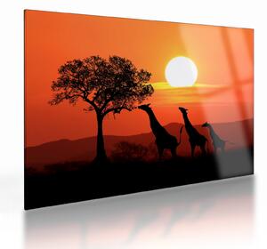 Tablou pe sticlă cu girafe în apus de soare (70x50 cm)