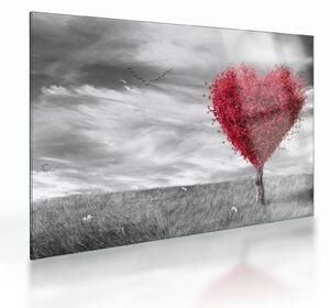 Tablou pe sticlă -Inima din coroanele copacilor (70x50 cm)