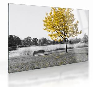 Tablou pe sticlă - relaxare în parc (70x50 cm)