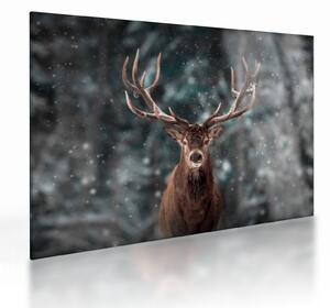 Tablou pe sticlă - Cerbul majestic (70x50 cm)