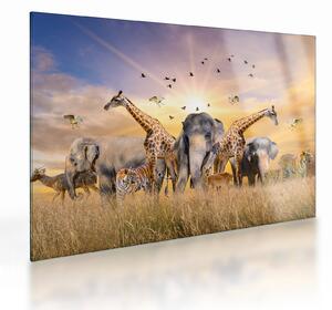 Tablou pe sticlă - Animae din Africa (70x50 cm)