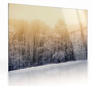Tablou pe sticlă cu pădure geroasă (70x50 cm)