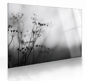Tablou pe sticlă - Detailu florior de luncă (70x50 cm)