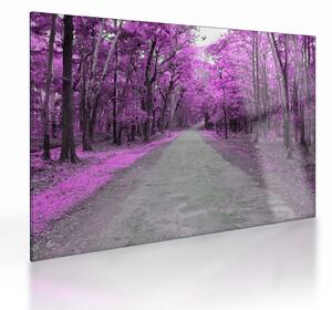 Tablou pe sticlă - drum prin parc (70x50 cm)