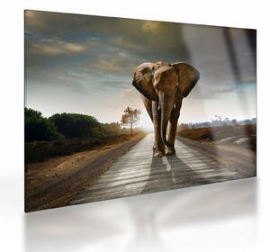 Tablou pe sticlă cu elefant (70x50 cm)