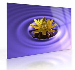 Tablou pe sticlă - Lotus (70x50 cm)