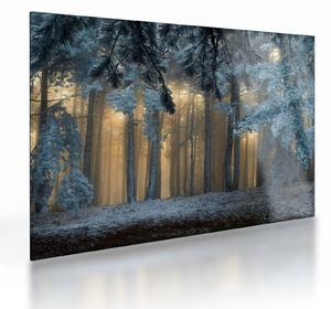 Tablou pe sticlă cu pădure înzăpezită (70x50 cm)