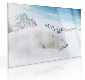Tablou pe sticlă - Urs polar (70x50 cm)