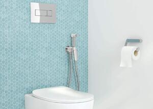 Deante Peonia set cadru și vas wc, capac+ buton de spălare CDES6ZPW