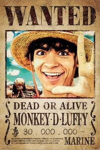 Poster One Piece - Wanted Monkey D. Luffy, (61 x 91.5 cm)
