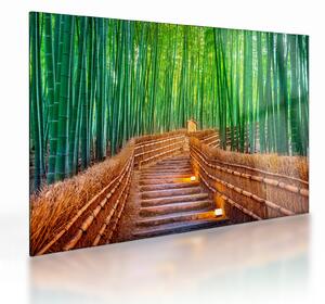 Tablou pe sticlă - Pădure de bambus japoneză (70x50 cm)