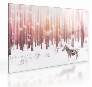 Tablou pe sticlă - Zebra în pădurea înzăpezită (70x50 cm)