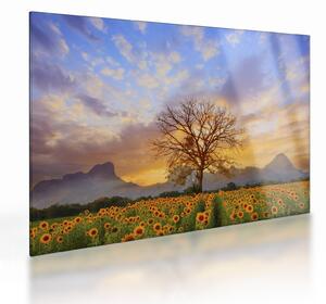 Tablou pe sticlă - Peisaj cu floarea soarelui (70x50 cm)