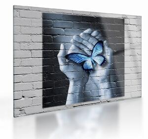 Tablou pe sticlă - Fluture pe perete (70x50 cm)