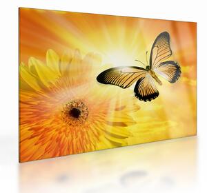 Tablou pe sticlă - Fluture galben cu flori (70x50 cm)