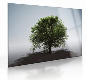 Tablou pe sticlă - Copacul singuratic (70x50 cm)