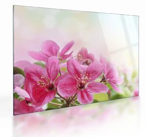 Tablou pe sticlă - Flori roz (70x50 cm)