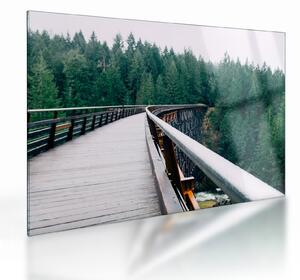 Tablou pe sticlă - Pod spre vârfurile copacilor (70x50 cm)