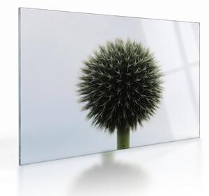 Tablou pe sticlă - Sfere de flori (70x50 cm)
