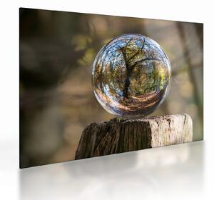 Tablou pe sticlă - Reflecție intr-o sferă transparentă (70x50 cm)