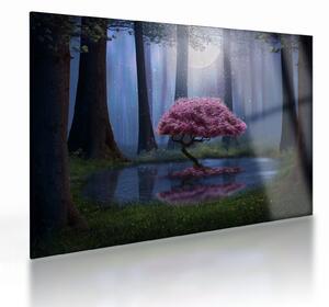 Tablou pe sticlă - Noapte magică (70x50 cm)