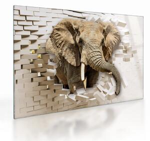 Tablou pe sticlă - Elefant spârgând peretele (70x50 cm)