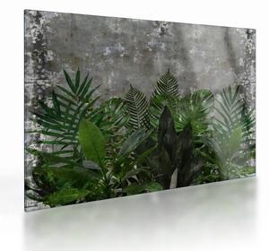 Tablou pe sticlă - Zid de beton cu plante (70x50 cm)