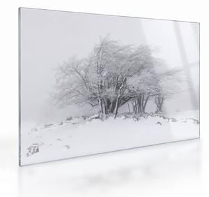 Tablou pe sticlă - Iarnă albă (70x50 cm)