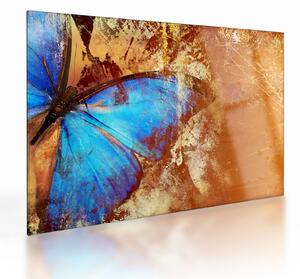 Tablou pe sticlă - Fluture albastru (70x50 cm)