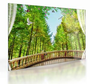 Tablou pe sticlă - Privire spre pădure (70x50 cm)