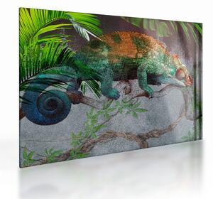 Tablou pe sticlă - Cameleon (70x50 cm)