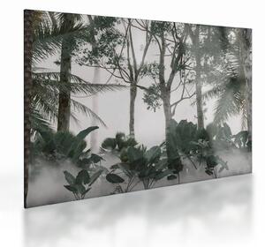 Tablou pe sticlă - Jungla în ceața dimineții (70x50 cm)