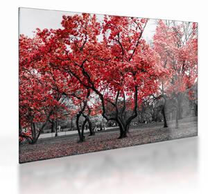 Tablou pe sticlă - Copacii roșii, Central Park, New York (70x50 cm)