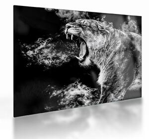 Tablou pe sticlă - Portretul unei leoaice (70x50 cm)