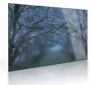 Tablou pe sticlă - Pădurea în ceață (70x50 cm)