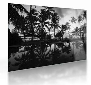 Tablou pe sticlă - Insula tropicală (70x50 cm)