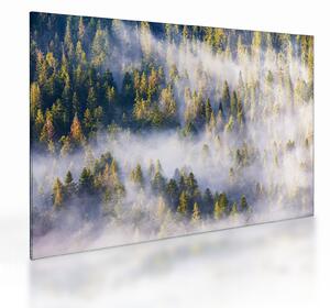 Tablou pe sticlă - Copac în ceață (70x50 cm)