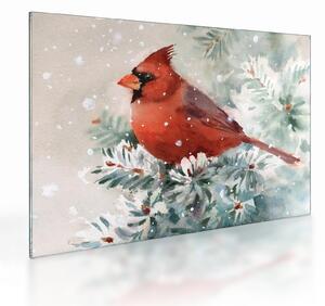 Tablou pe sticlă - Cardinal (70x50 cm)