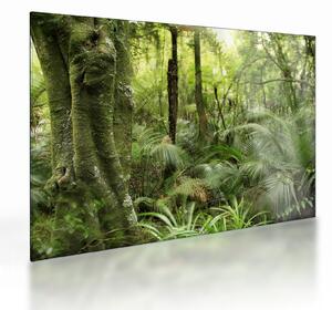 Tablou pe sticlă - Pădure tropicală (70x50 cm)