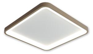 BRILAGI - LED plafonieră cu dimmer FALCON SLIM LED/50W/230V alb/bej + telecomandă