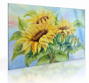 Tablou pe sticlă - Floarea soarelui înflorită (70x50 cm)