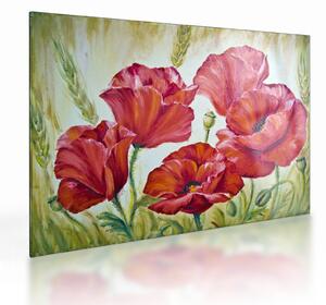 Tablou pe sticlă - Mac - flori (70x50 cm)