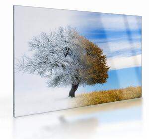 Tablou pe sticlă - Schimbarea anotimpurilor (70x50 cm)